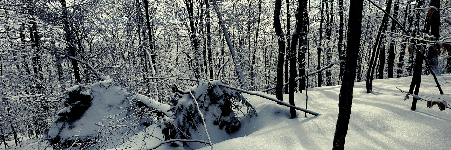 Header Image